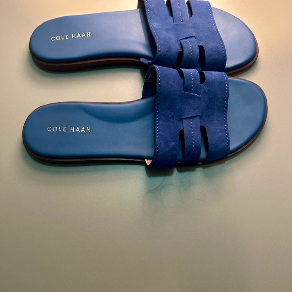 Cole Haan Blue Slide Sandals - Picture 3 of 5